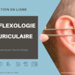 formation auriculothérapie en ligne e-learning