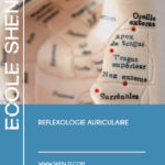 cours auriculotherapie