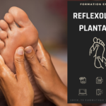 formation reflexologie plantaire en ligne e-learning