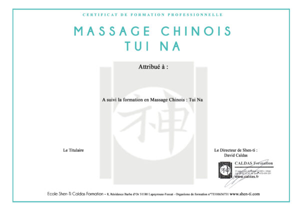 Formation praticien massage chinois Tui Na en ligne e-learning (Techniques expliquées pas à pas, la pratique du Tui Na, s'installer, énergétique, etc.)