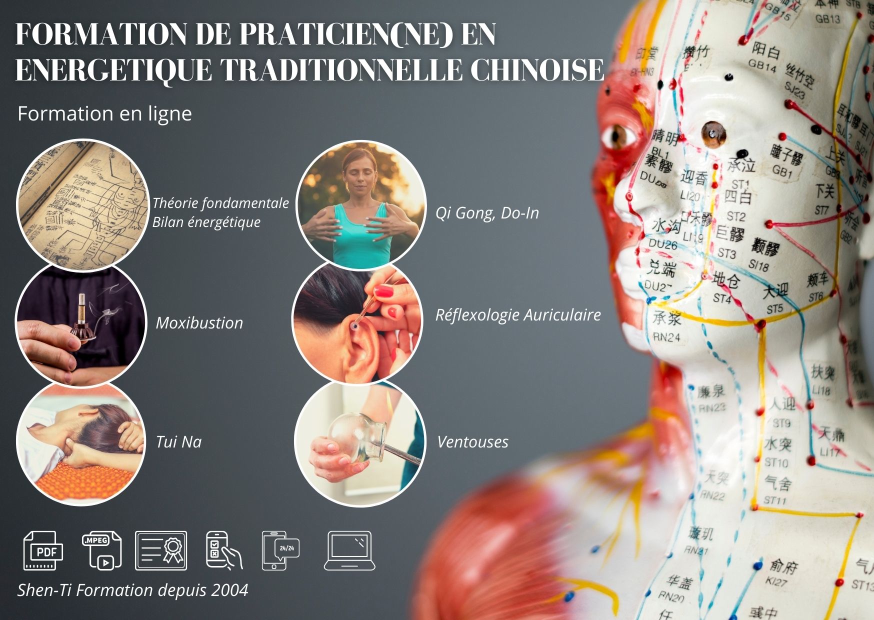 Formation Praticien en médecine traditionnelle chinoise en ligne
