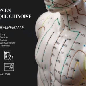 formation theorie medecine traditionnelle chinoise en ligne